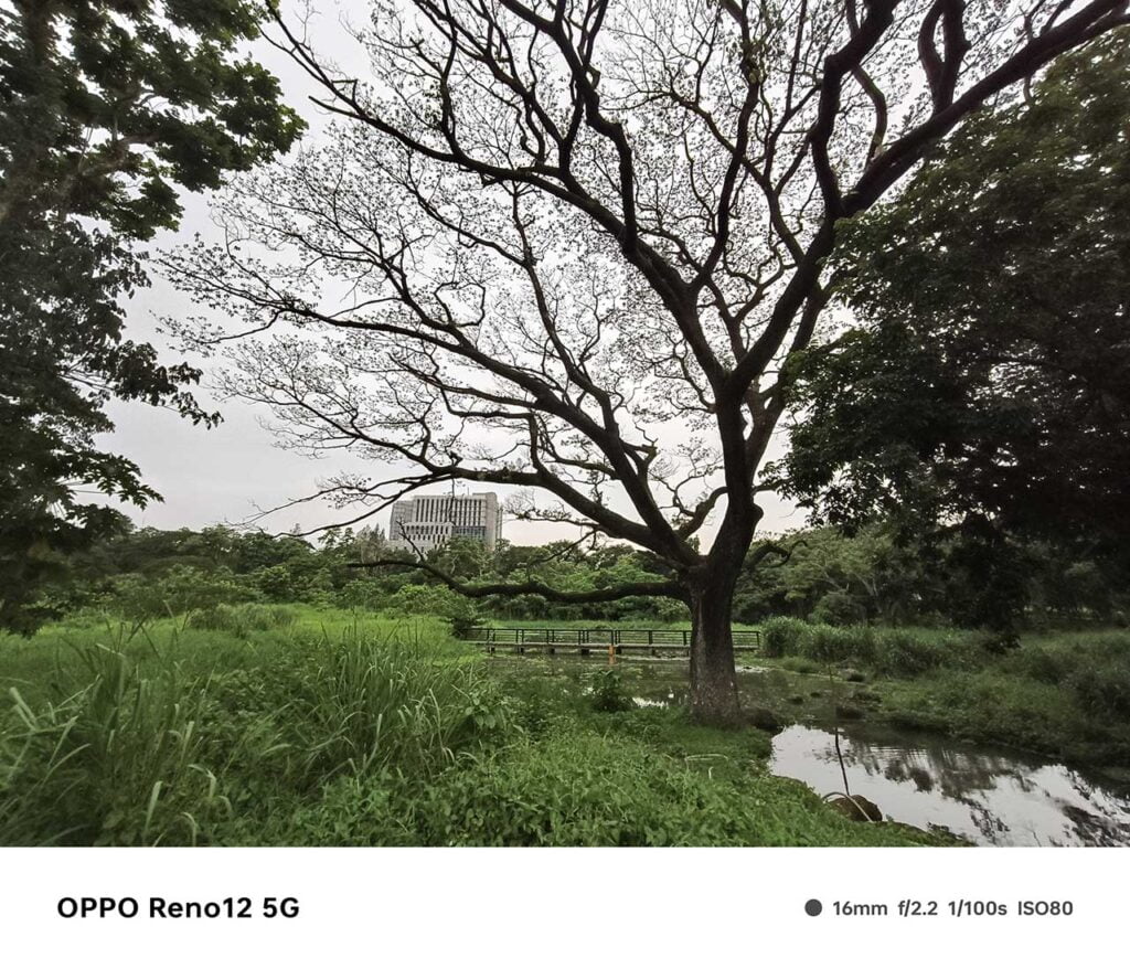 OPPO Reno12 5G camera sample picture in review by Revu Philippines