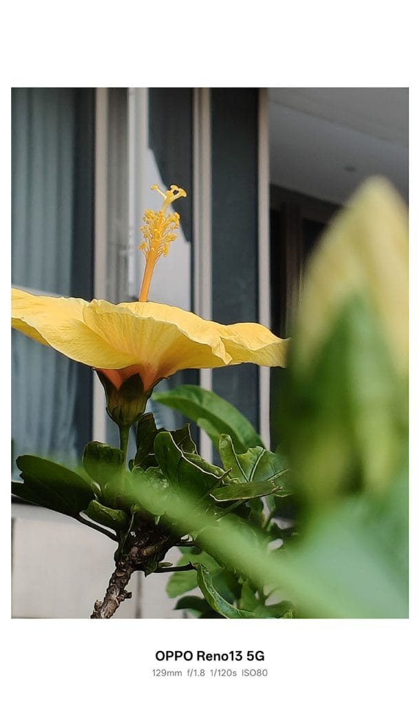 OPPO Reno13 5G camera sample picture in review by Revu Philippines